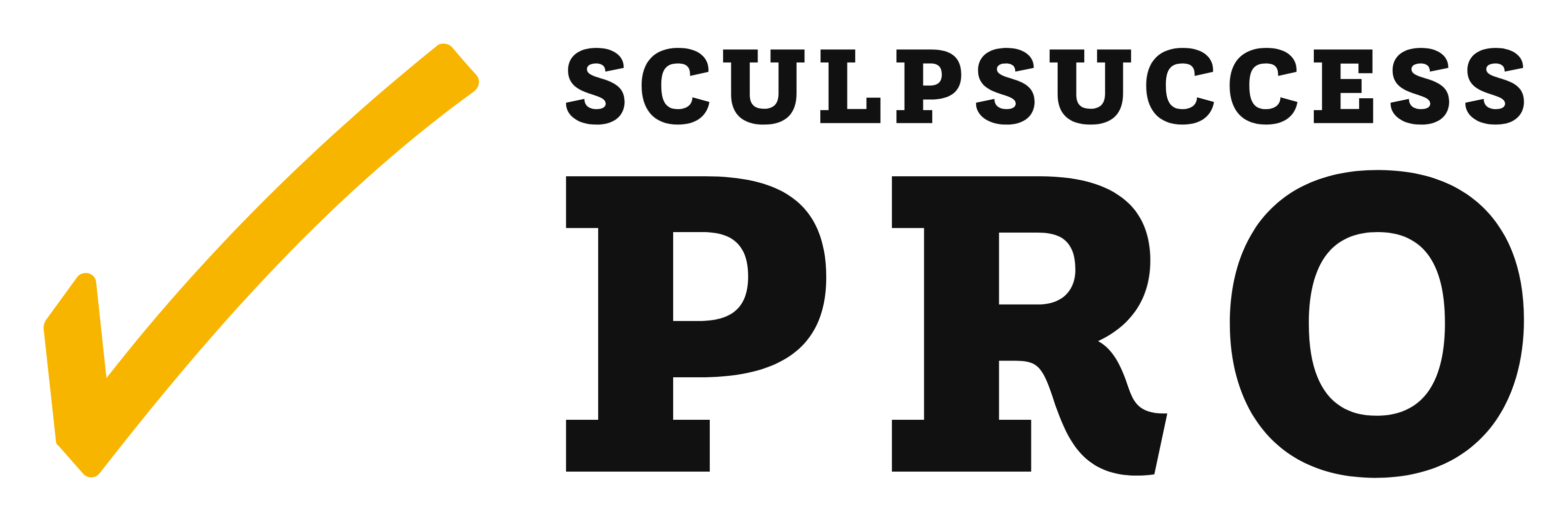sculpsuccesspro.com